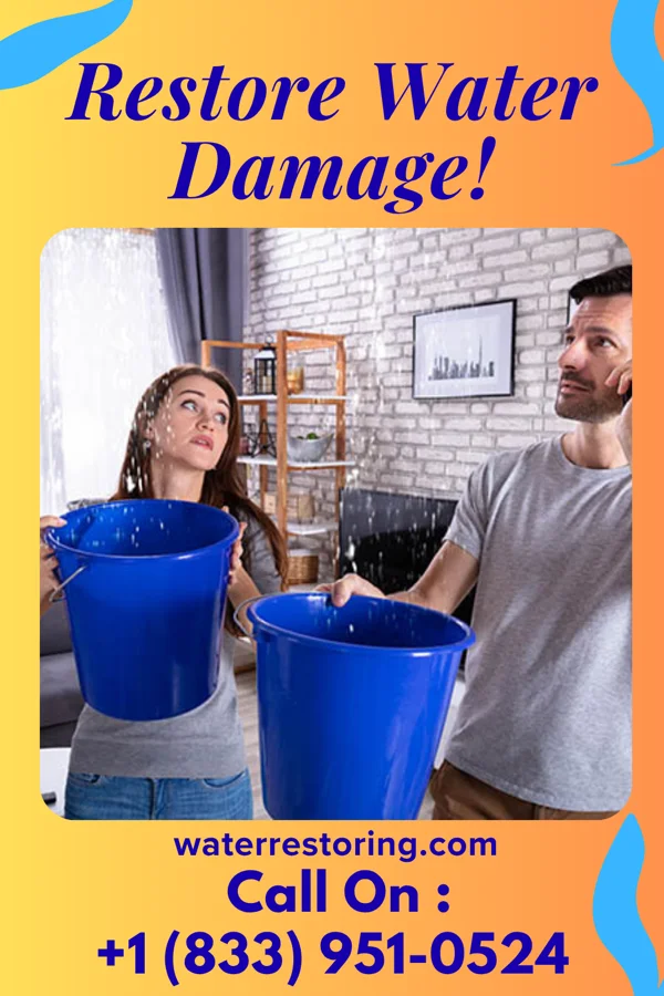 water restoration Patriot Water Repair Co Monroe City