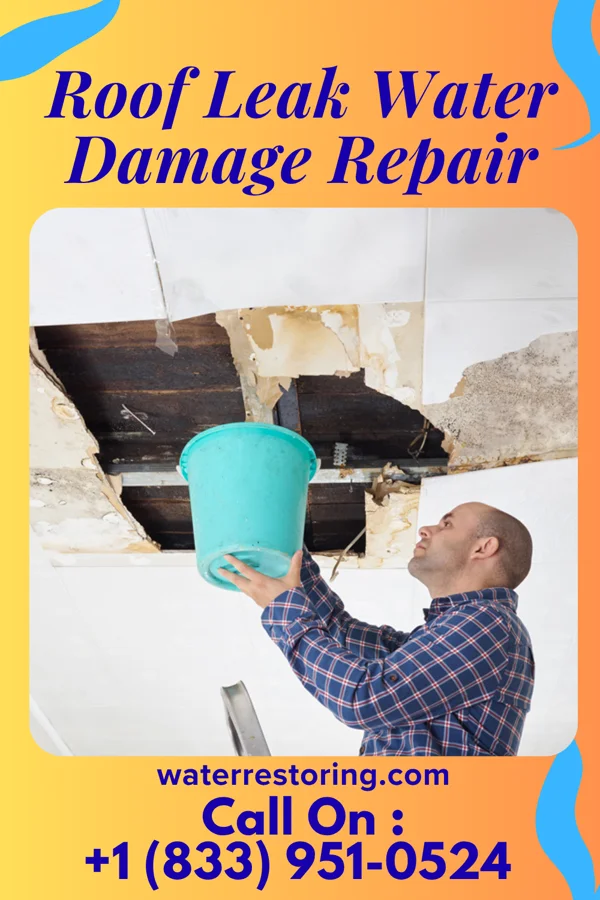 Roof Leak Water Damage Repair in Monroe City, MO