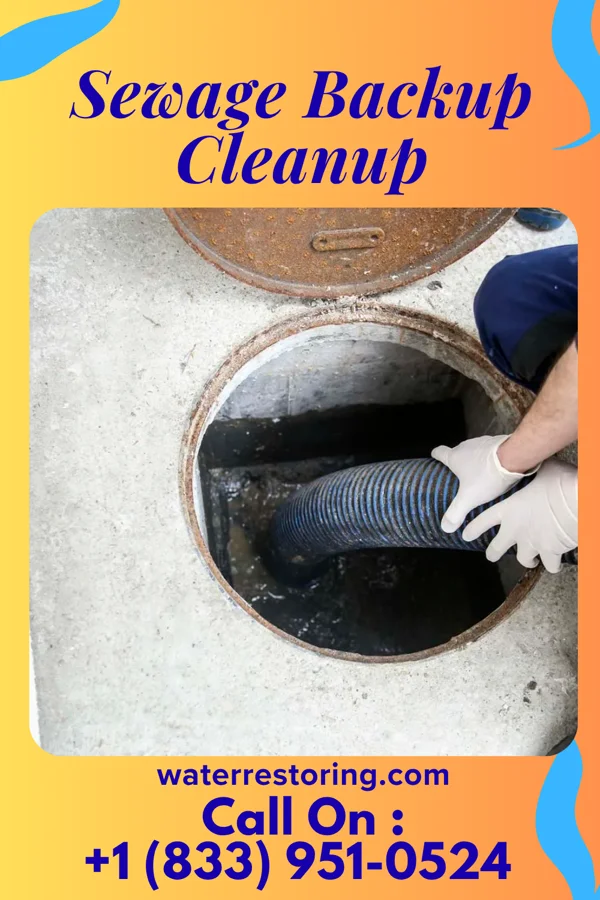 Sewage Backup Cleanup in Monroe City, MO