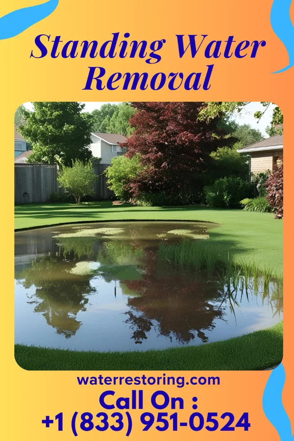 Standing Water Removal in Monroe City, MO